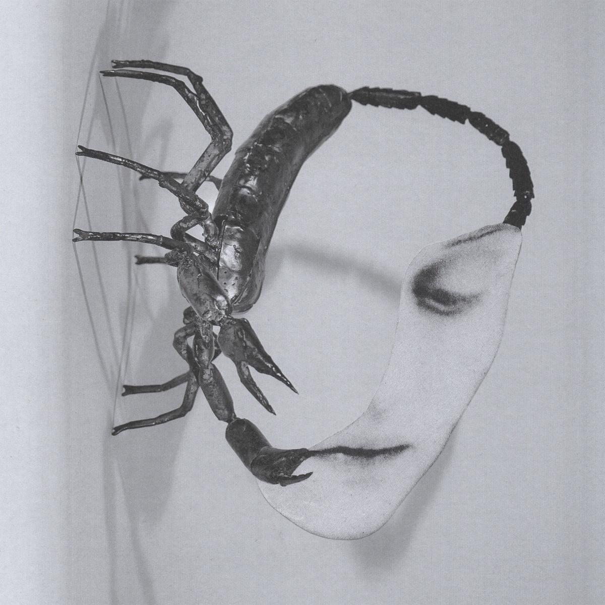 Tortoise - Touch - LP
