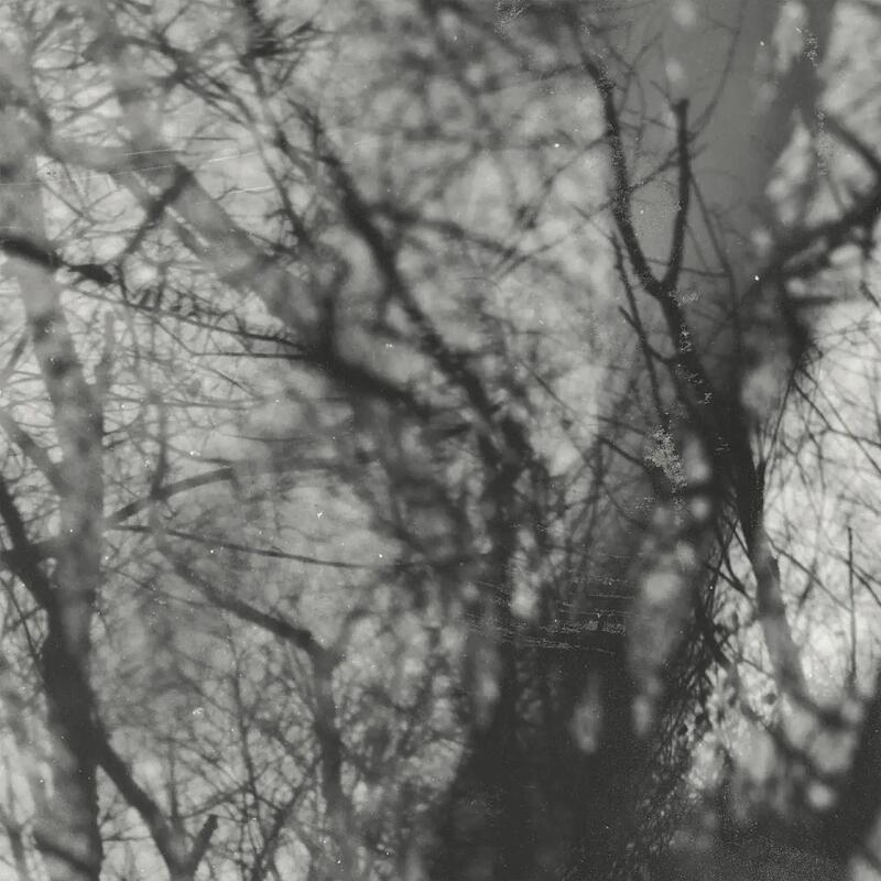 Grouper - Way Their Crept - LP