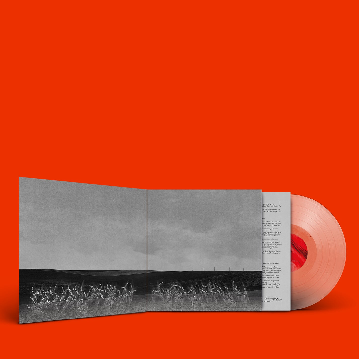 CULK - limited special bundle - LP (coloured) & LONGSLEEVE