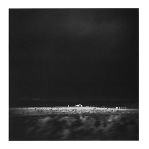 Early Day Miners - Placer Found (20th anniversary edit) - 2LP