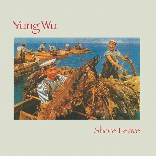 Yung Wu (The Feelies) - Shore Leave - 2LP
