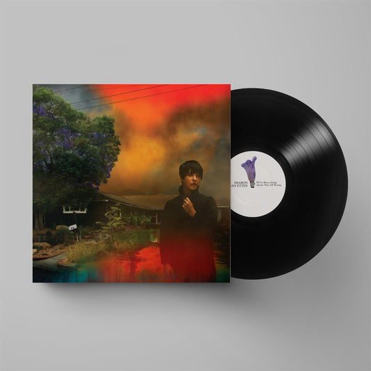 Sharon Van Etten - We've Been Going About This All Wrong - LP
