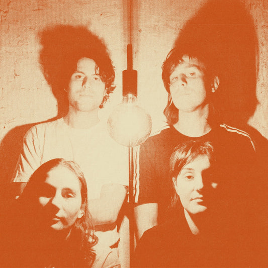 The Stroppies - Levity - LP