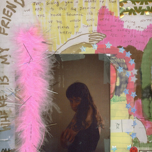 Wednesday - I Was Trying To Descibe You To Someone - LP