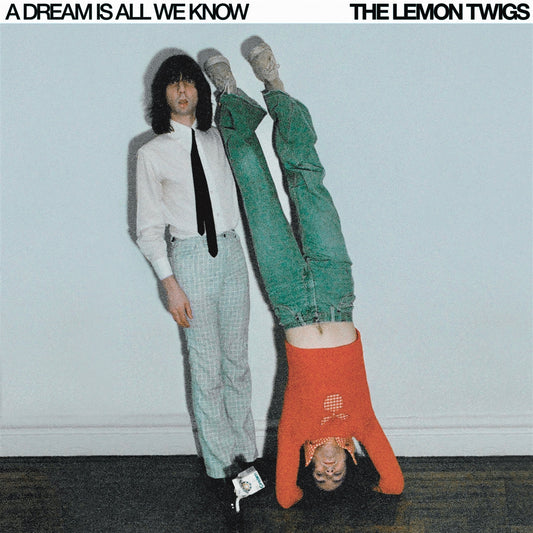 The Lemon Twigs - A Dream Is All We Know - LP