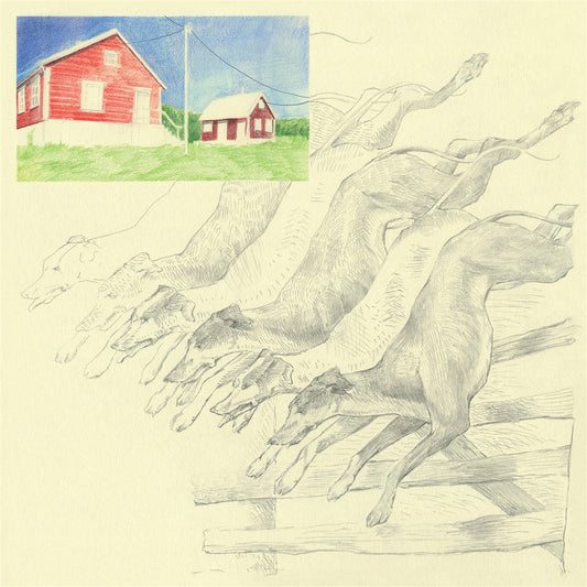 Quickly, Quickly - I Heard That Noise (Mint Green Vinyl) - LP