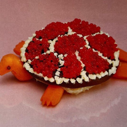 Sharp Pins - Turtle Rock - LP