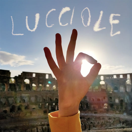Silvia Tarozzi - Lucciole - 2LP