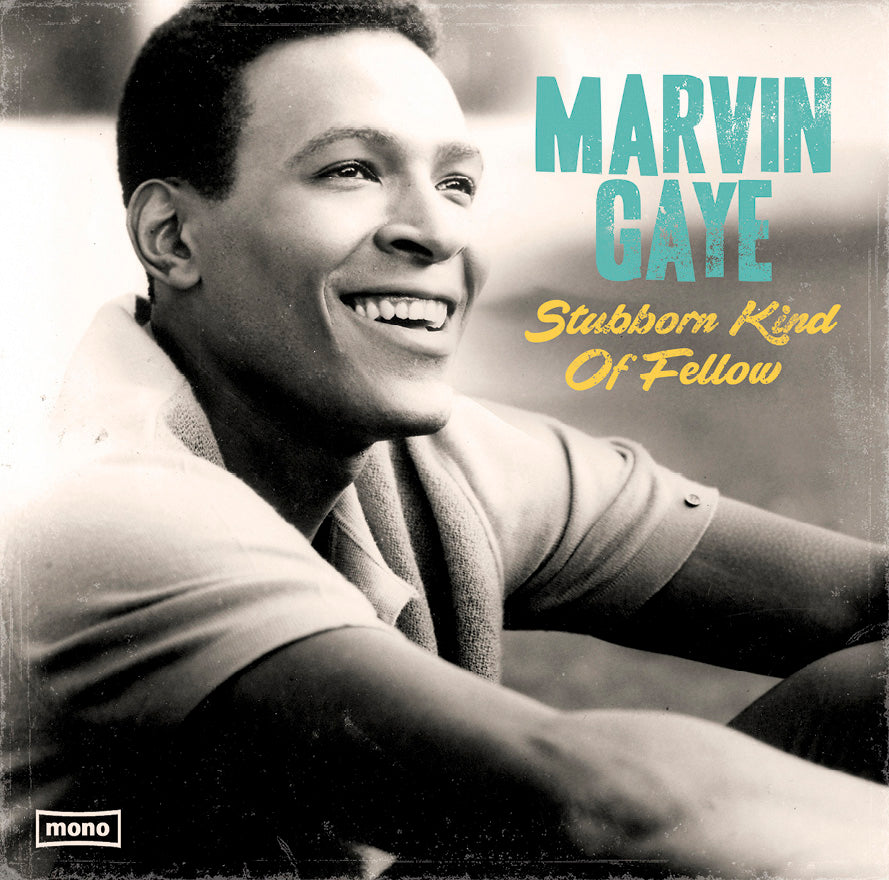 Marvin Gaye - Stubborn Kind of Fellow - LP
