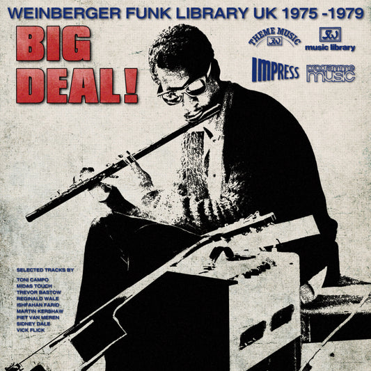 V/A - Big Deal! (Weinberger Funk Library UK 1975-79) - LP
