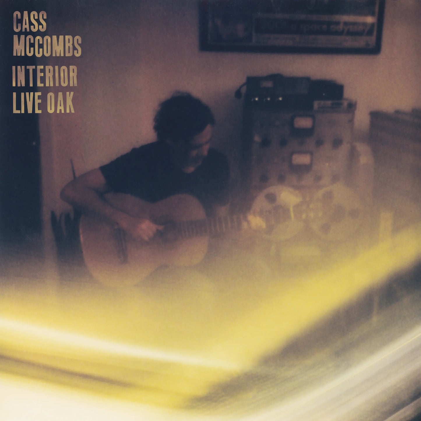 Cass McCombs - Interior Live Oak - 2LP