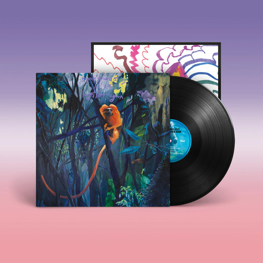 Bonnie "Prince" Billy - We Are Together Again - LP