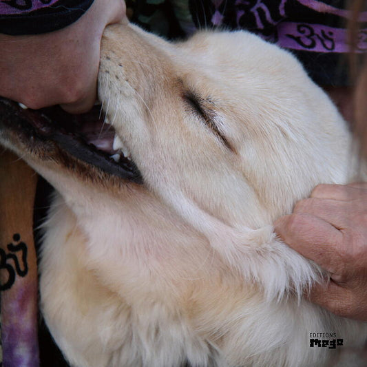 Christian Fennesz & Jim O'Rourke - It's Hard For Me To Say I’m Sorry - LP