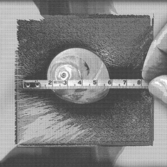 Phenomenal World - Same - LP