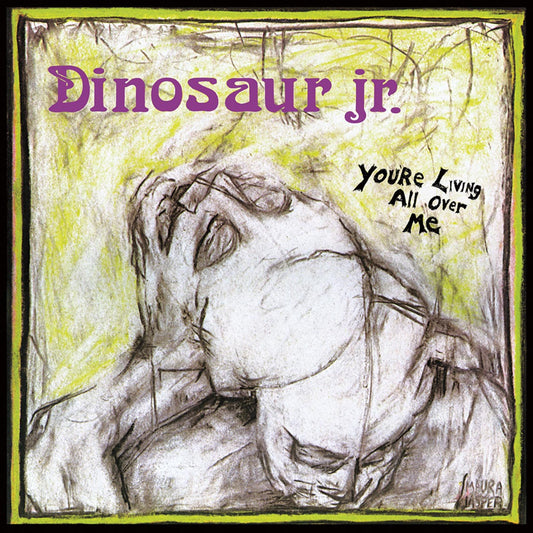 Dinosaur Jr - You're Living All Over Me - LP
