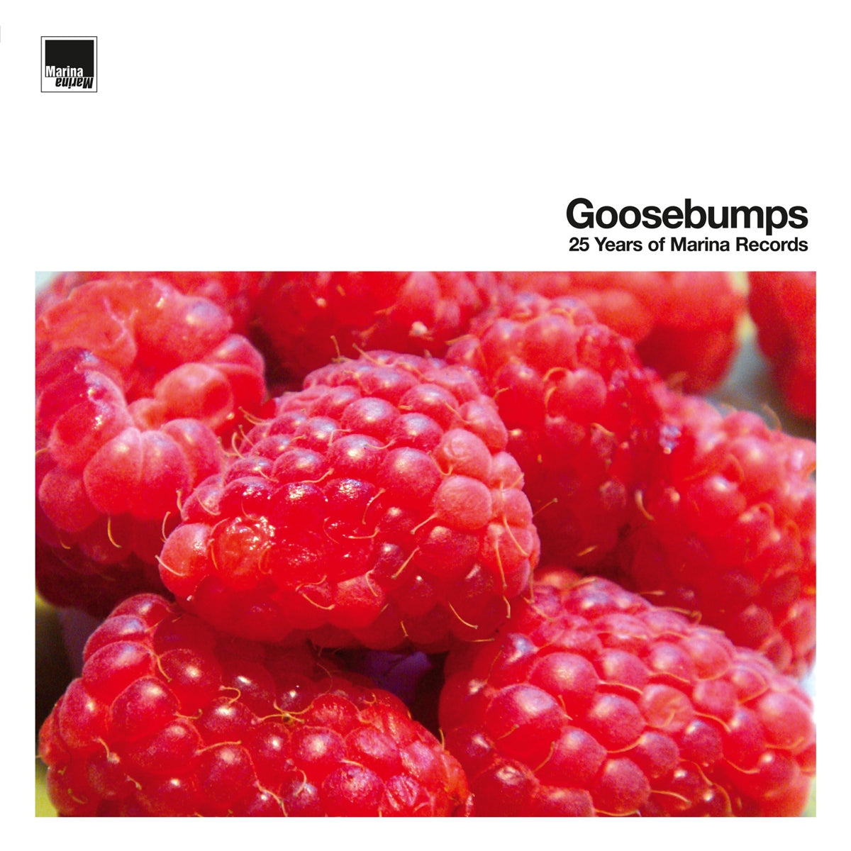 V/A - Goosebumps - 25 years of Marina Records - 3LP