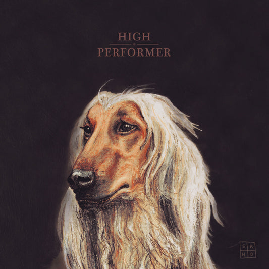 5K HD - High Performer - LP