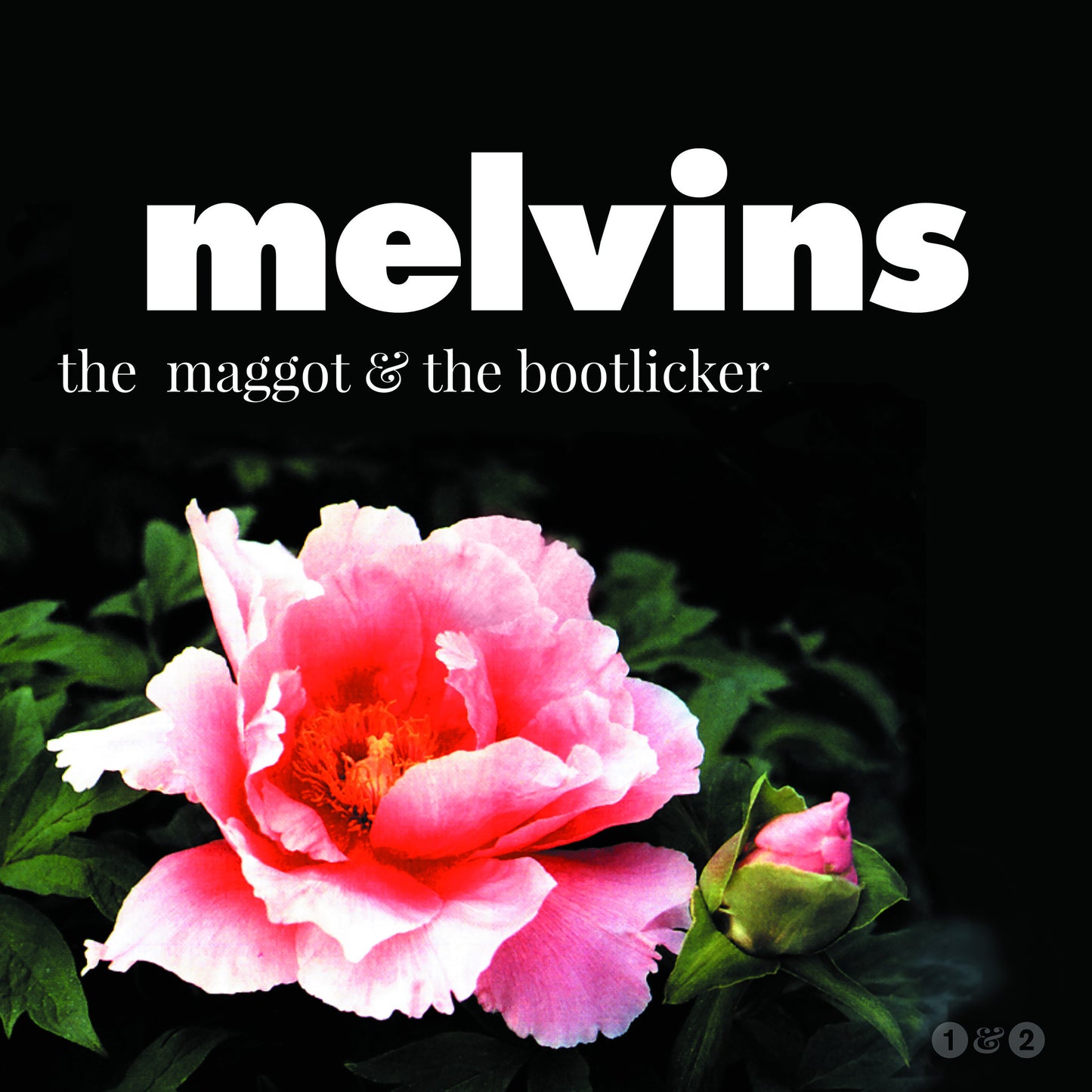 Melvins - The Maggot & The Bootlicker (Coloured Vinyl) - 2LP