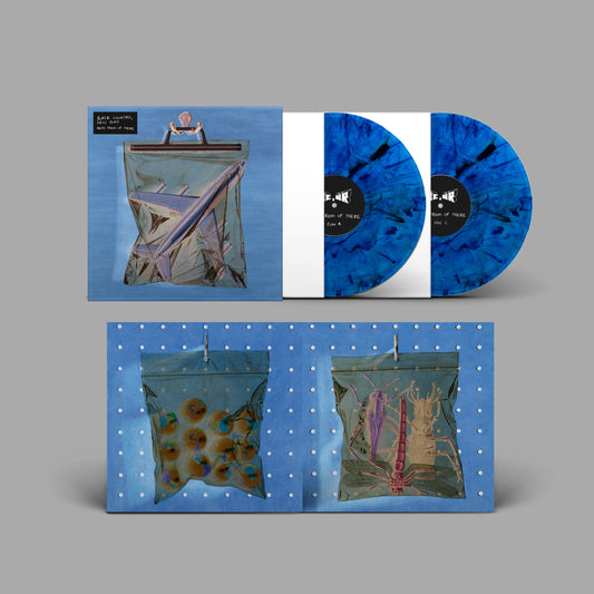Black Country, New Road - Ants From Up There (Colored Blue Vinyl) - 2LP