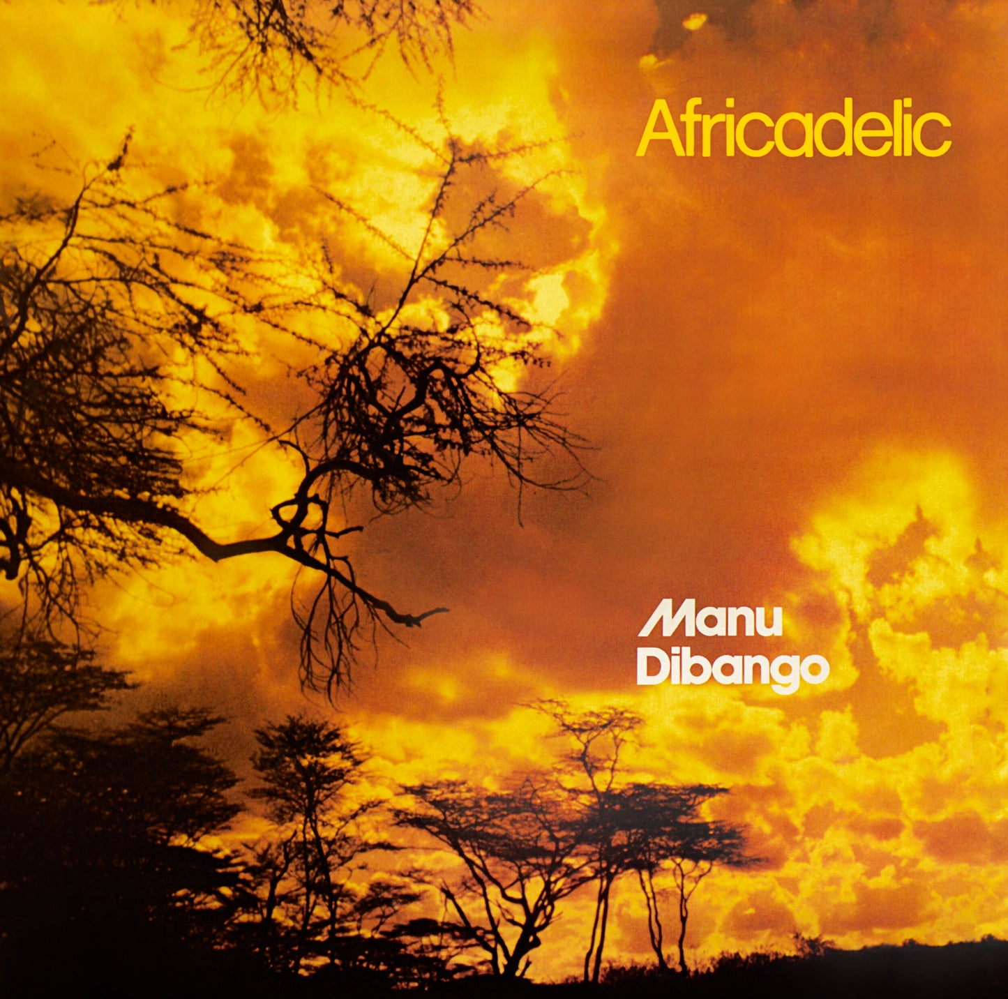 Manu Dibango - Africadelic (180gr) - LP