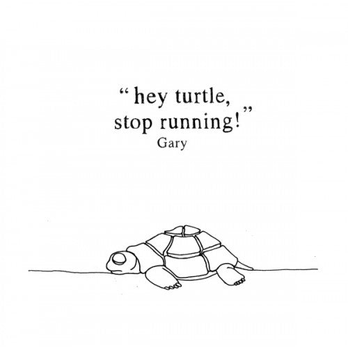 GARY - Hey Turtle, Stop Running! - CD