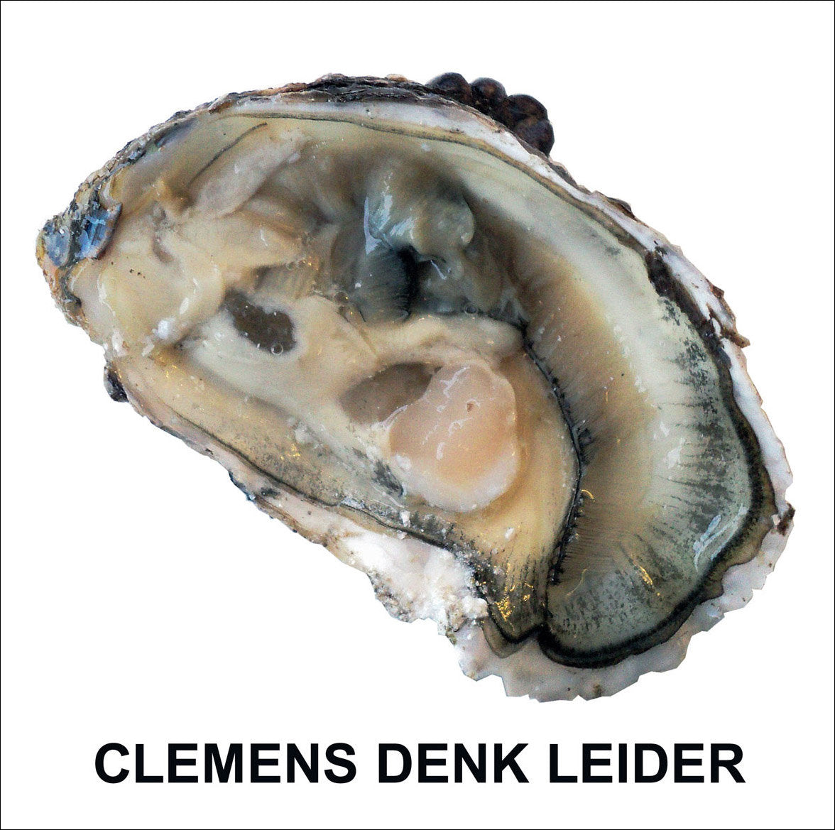 Clemens Denk - Leider - 7“